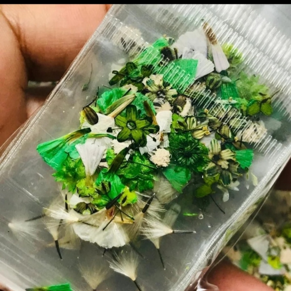 Dried Flower